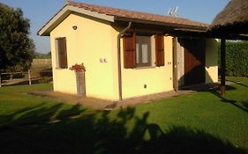 Monolocale con giardino